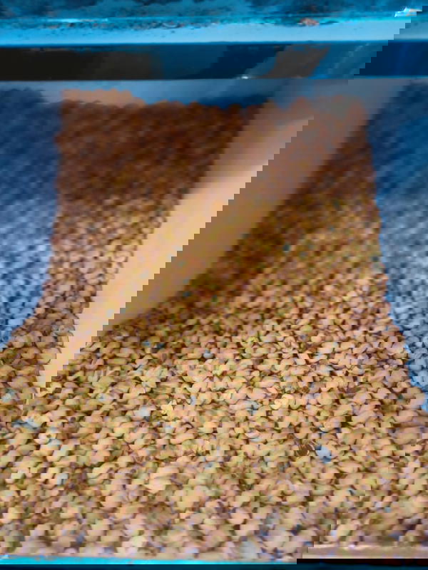 ذره محمصه Image 1 Preview