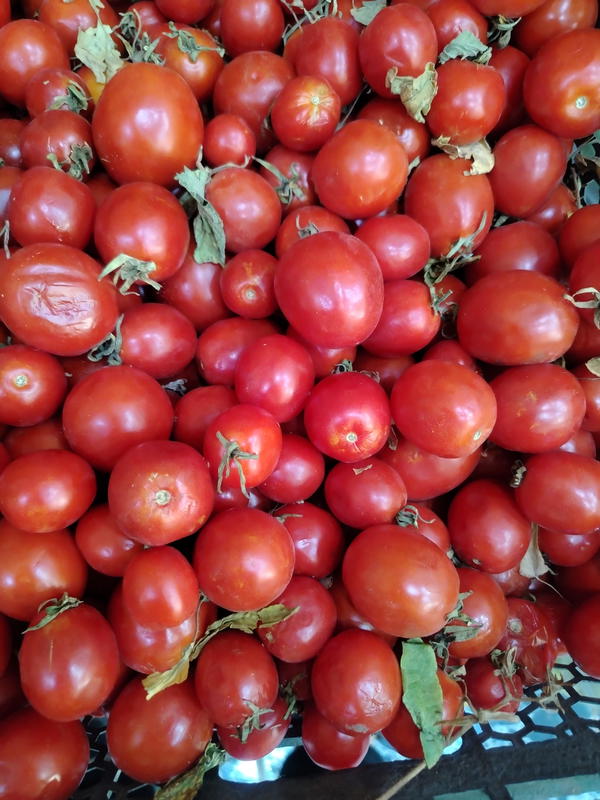 طماطه كرزيه Image 1 Preview