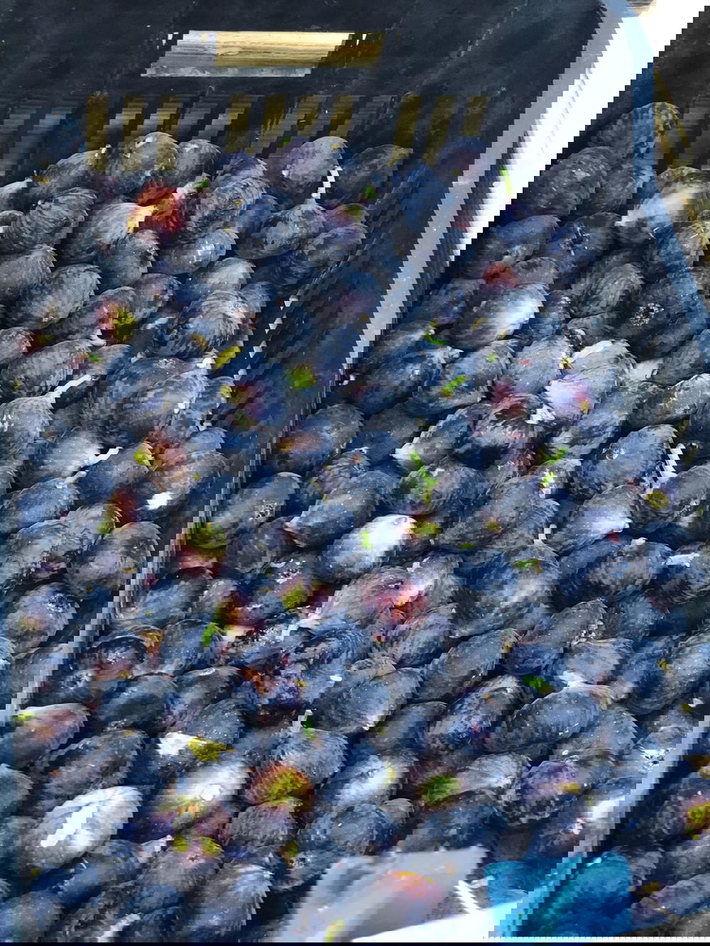 تين Preview Image