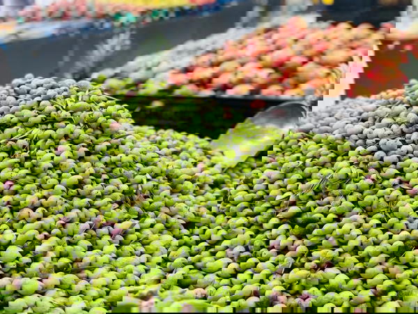 زيتون وسط Image 1 Preview