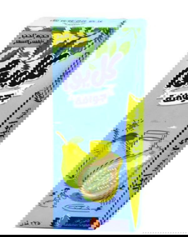 عصير كل يوم جوافه 225مل  Image 1 Preview
