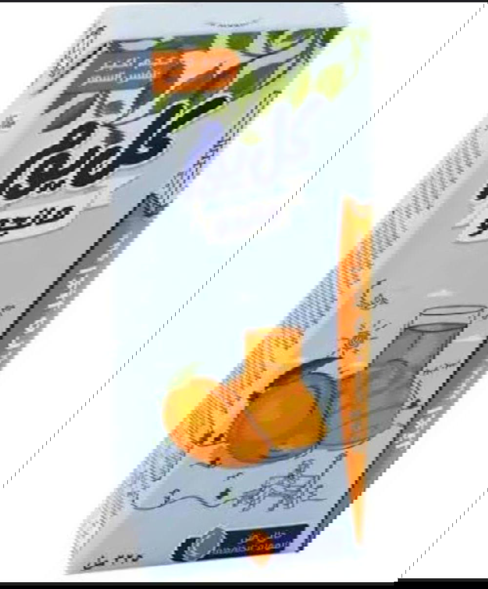 عصير كل يوم مانجو 225مل Preview Image