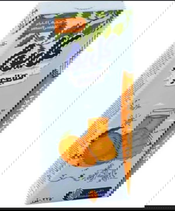 عصير كل يوم مانجو 225مل Image 1 Preview