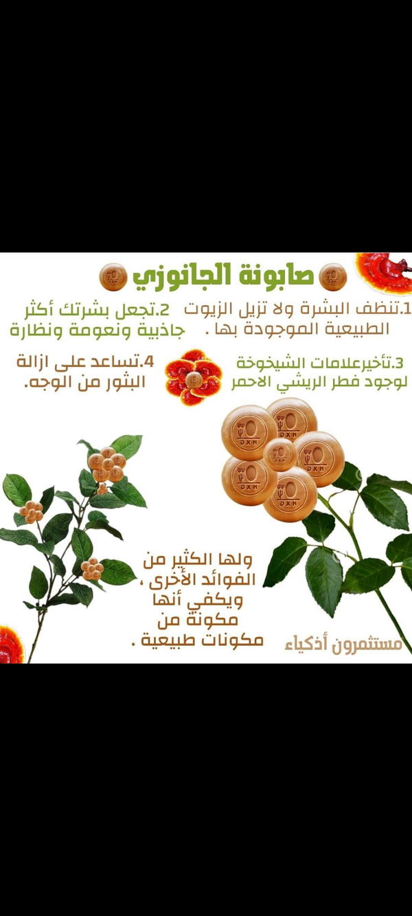 صابونة الجانوزى  Image 1 Preview