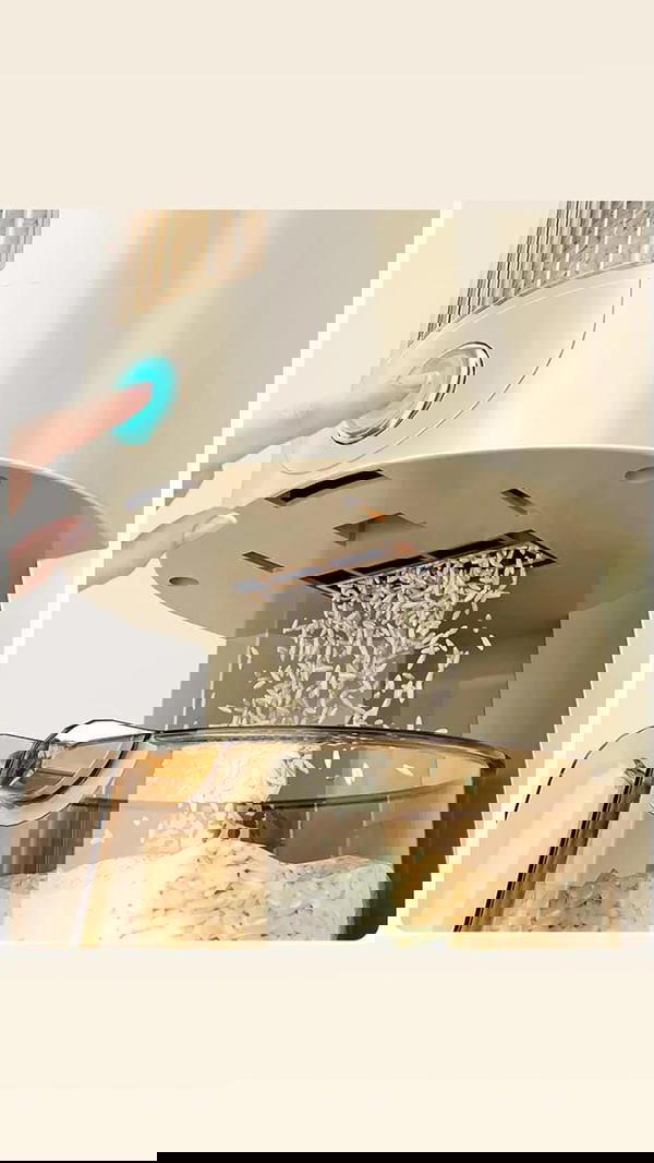 موزع البقوليات Image 1 Preview