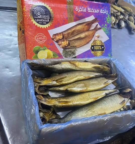 رنجة الشمس Preview Image