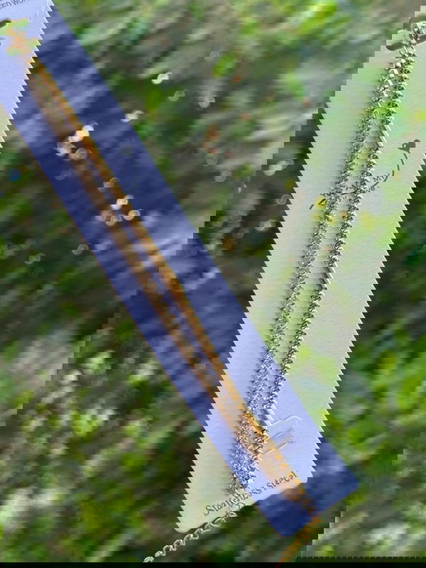 انسيال استانلس Image 1 Preview