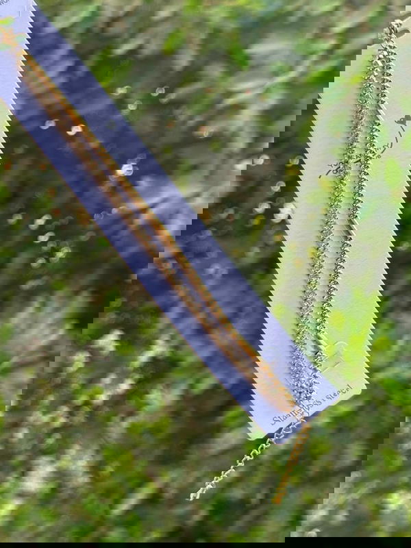 انسيال استانلس Image 4 Preview