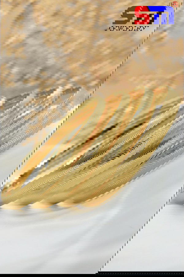غوايش استانلس Image 1 Preview