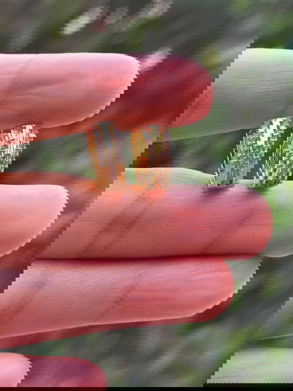 حلق استانلس Image 4 Preview