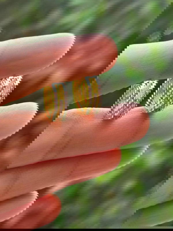 حلق استانلس Image 5 Preview