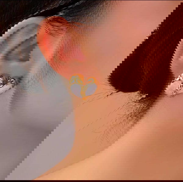 حلقان استانلس Image 5 Preview