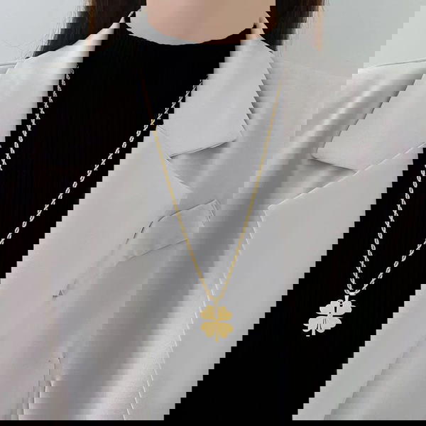 كوليه استانلس Image 1 Preview