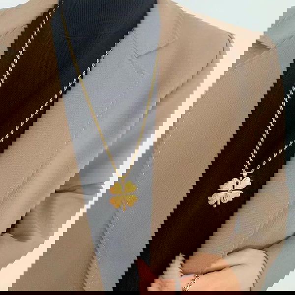 كوليه استانلس Image 3 Preview