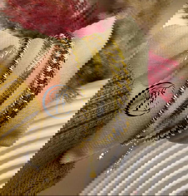 كومبو استانلس  Image 1 Preview