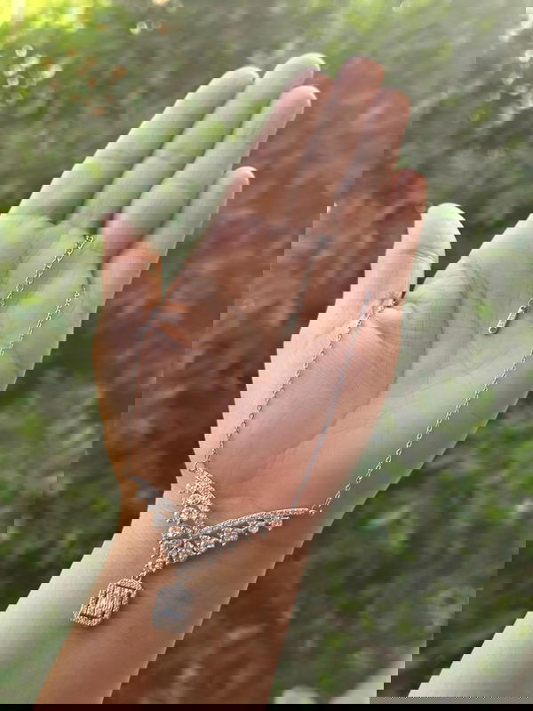 سلسله فصوص Image 1 Preview