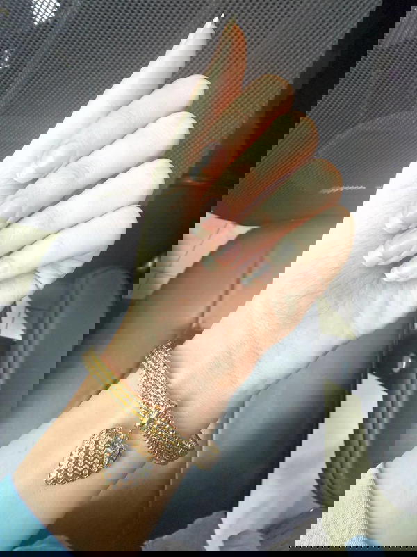 طقم غوايش استانلس Image 1 Preview