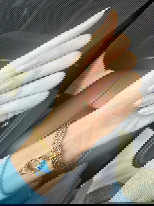 طقم غوايش استانلس Image 2 Preview