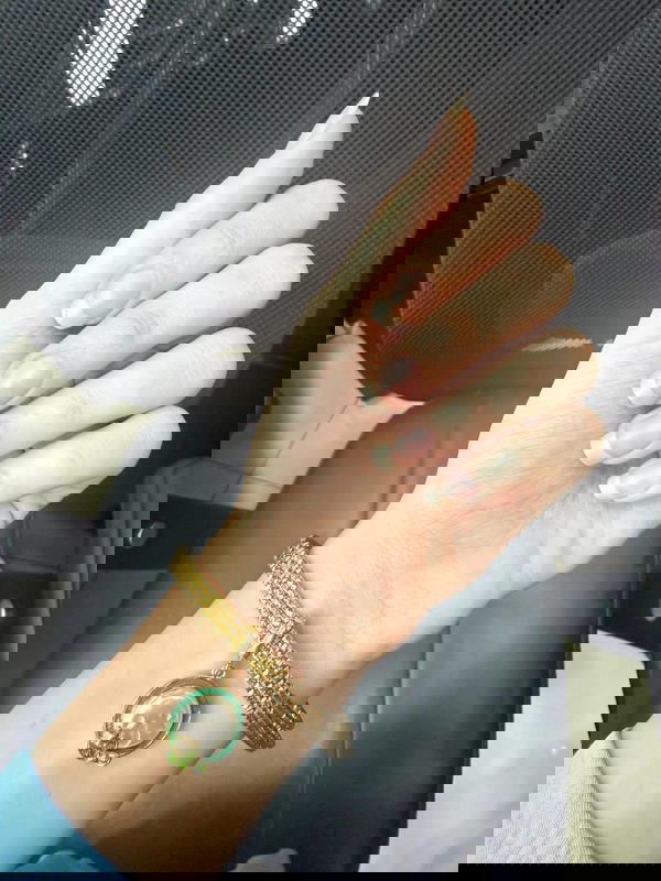 طقم غوايش استانلس Image 4 Preview