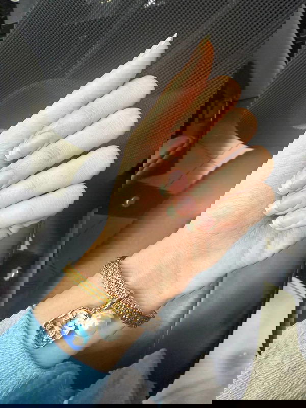 طقم غوايش استانلس Image 5 Preview