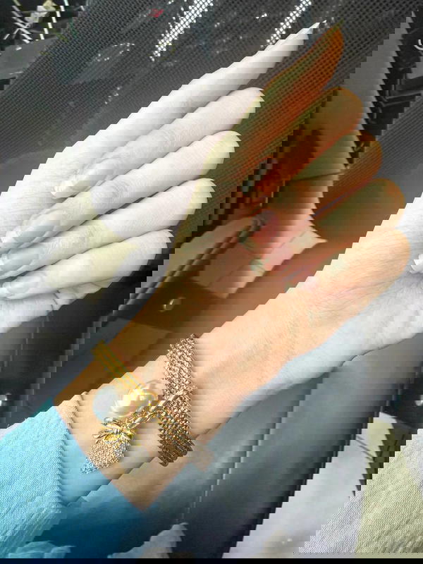 طقم غوايش استانلس Image 10 Preview