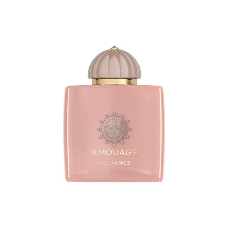 Amouage Guidance Eau de Parfum 100 ml Preview Image