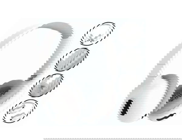 max pro  Image 1 Preview