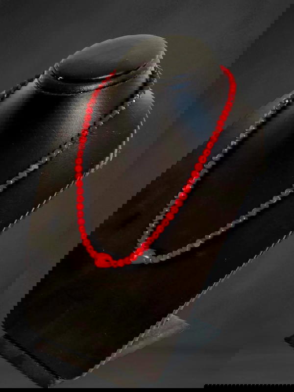 مرجان تونسي Image 2 Preview