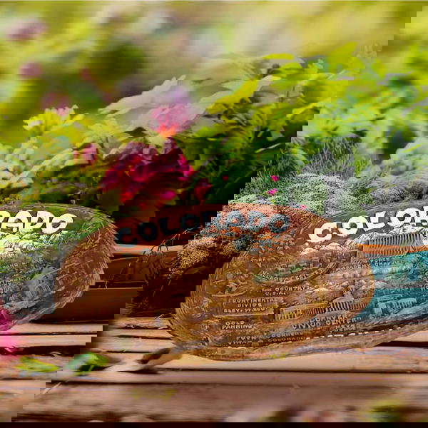 طبق  كلاسيكي من كولورادو Image 4 Preview
