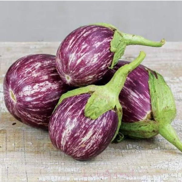بزنجان مخدد  Image 1 Preview