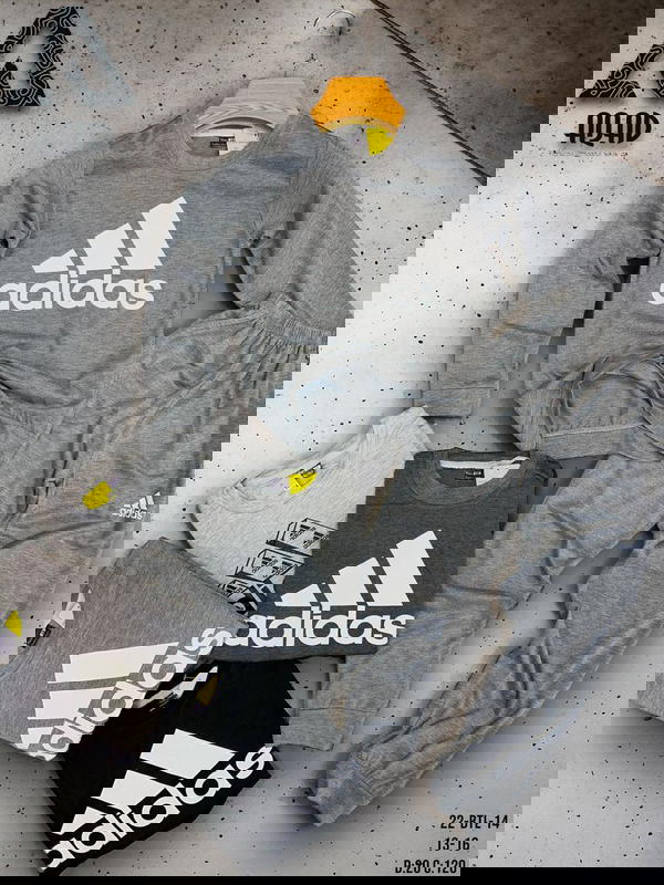تريننج ولادي  Image 1 Preview