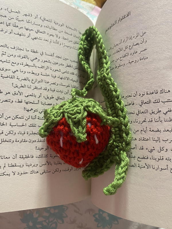 Crochet bookmark🎀 Image 2 Preview