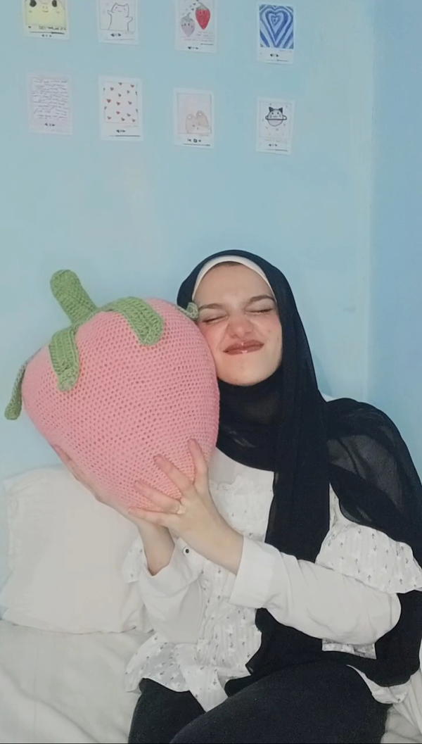 Strawberry cushion  Image 2 Preview