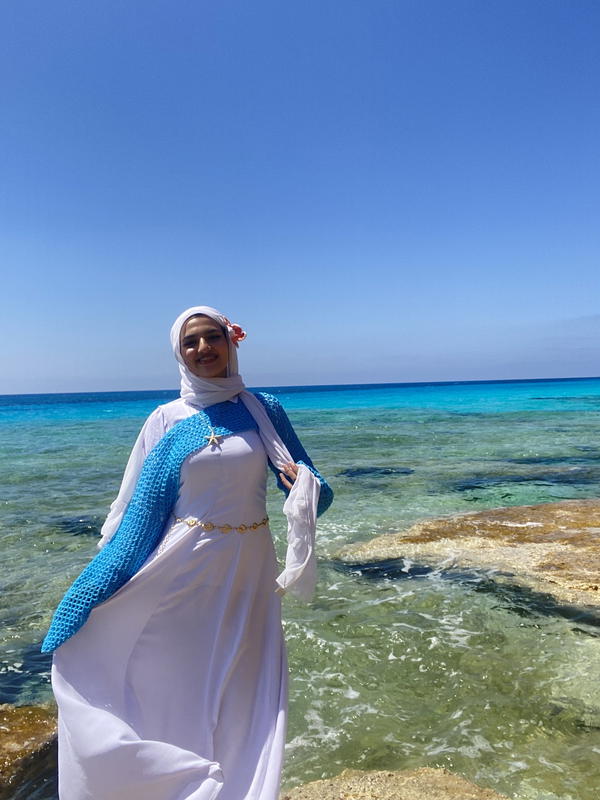 Bolero Mesh top Image 4 Preview