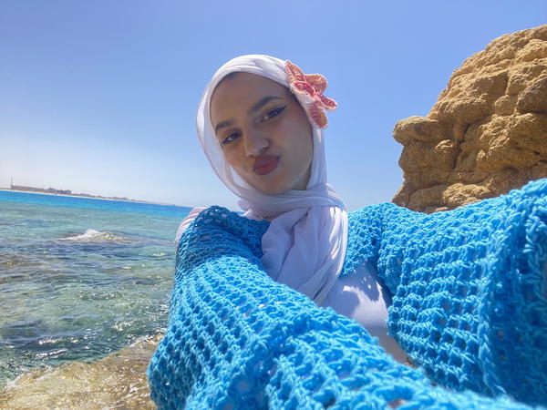 Bolero Mesh top Image 5 Preview