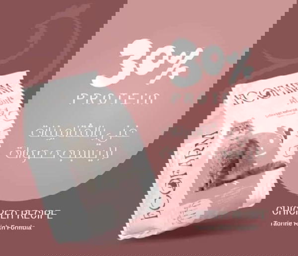 دراي فود قطط - مصري Image 2 Preview