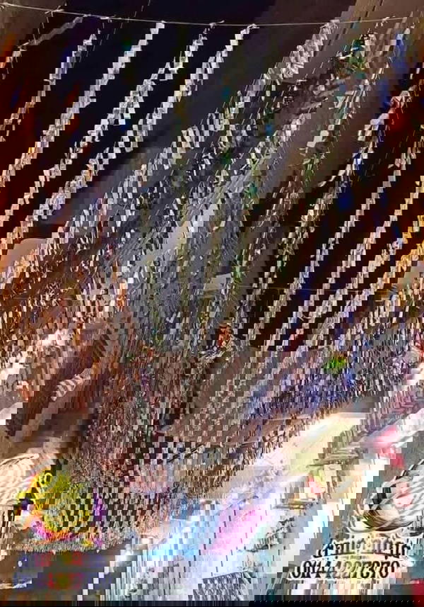 فرع شراشيب ملون زينة رمضان Image 2 Preview