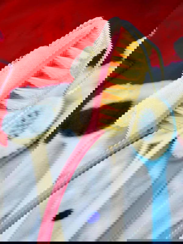 فرشة استحمام دراي براش Image 2 Preview