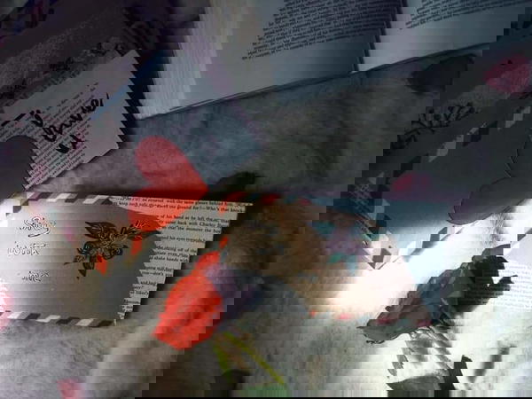 جوابات هاند ميد  Image 9 Preview