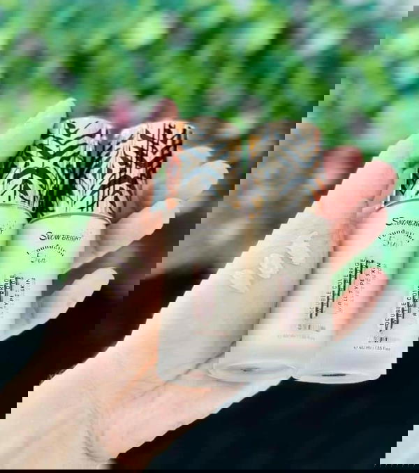 كريم اساس سنو برايت B.B Image 4 Preview