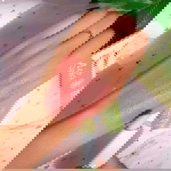 ليب بالم الوفيرا Image 4 Preview