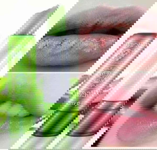ليب بالم الوفيرا Image 5 Preview