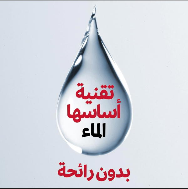 مبيد الحشرات الطائرة بدون رائحه من ريد ٣٠٠ مل Image 4 Preview