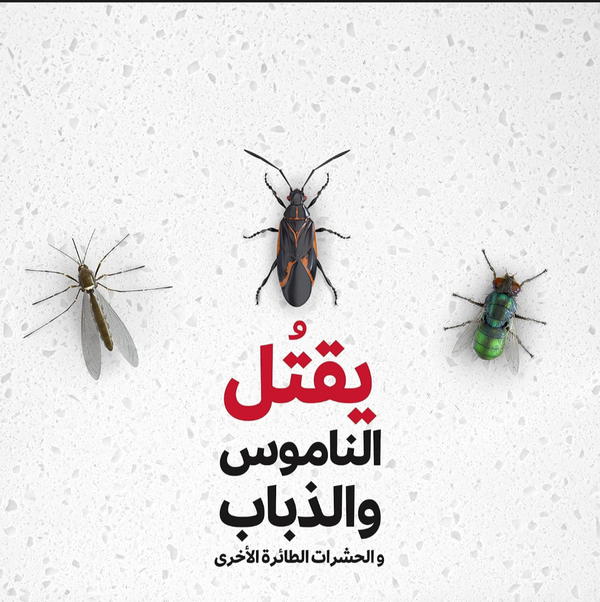 مبيد الحشرات الطائرة بدون رائحه من ريد ٣٠٠ مل Image 5 Preview