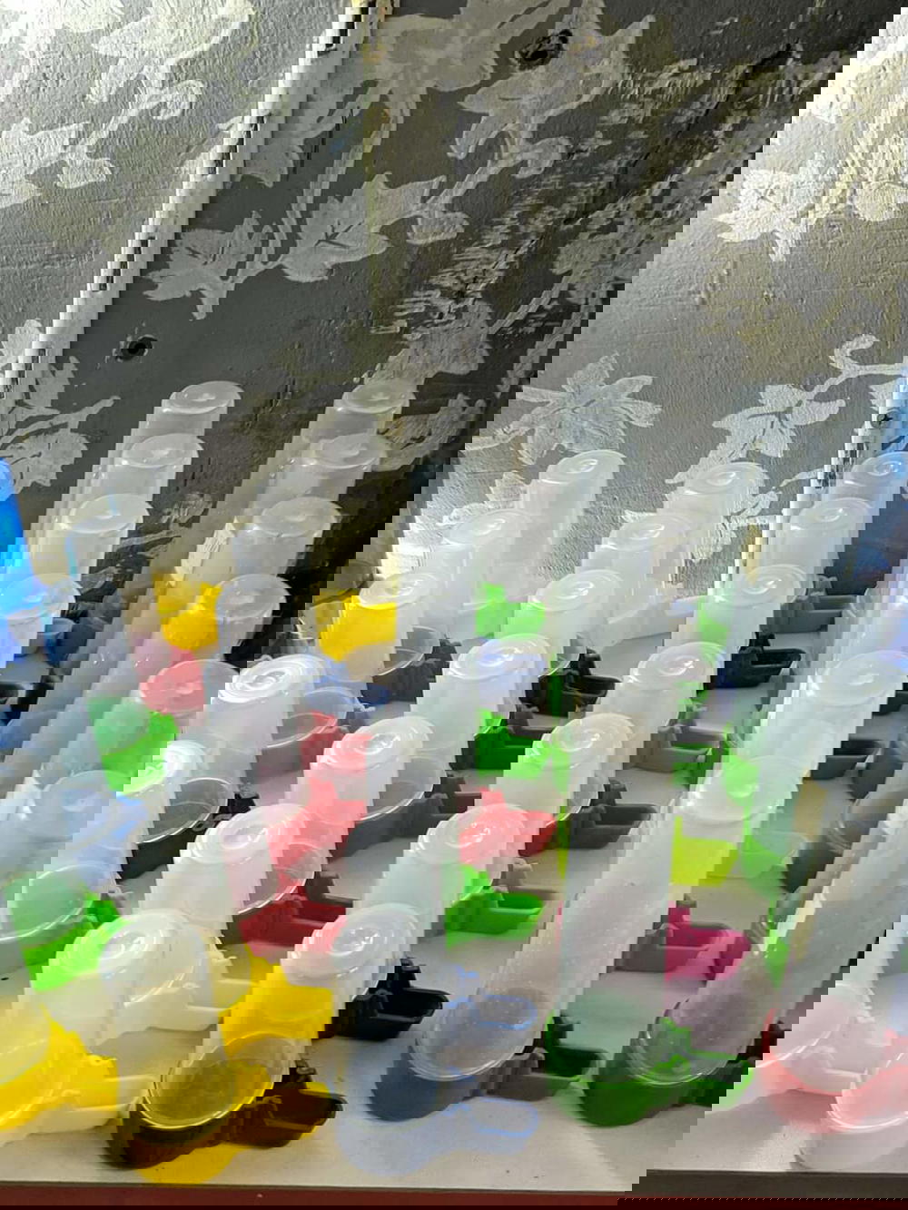 مسقي عصافير بلاستيك أحجام مختلفة Preview Image