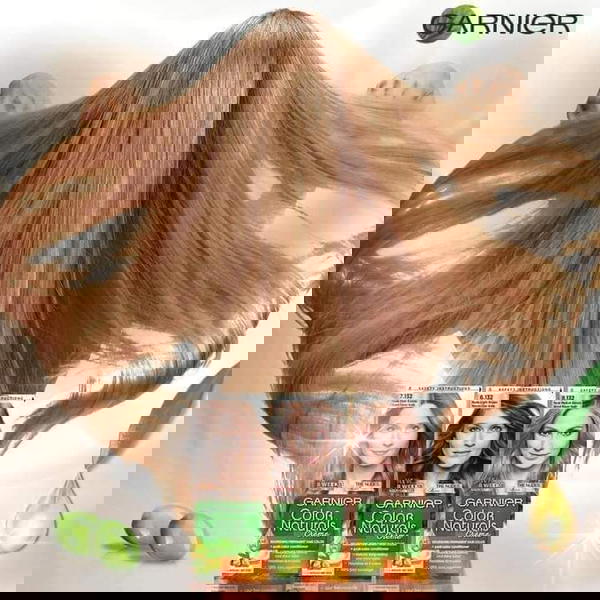صبغة غارنيه للشعر Image 1 Preview