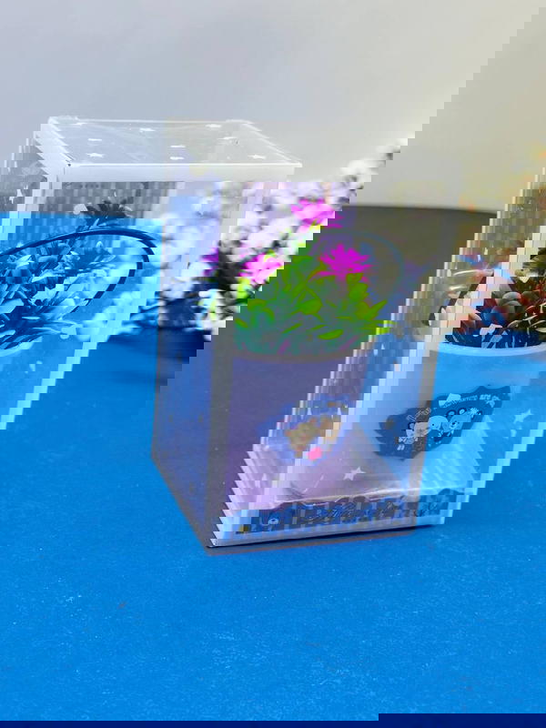 سبت ورد Image 1 Preview