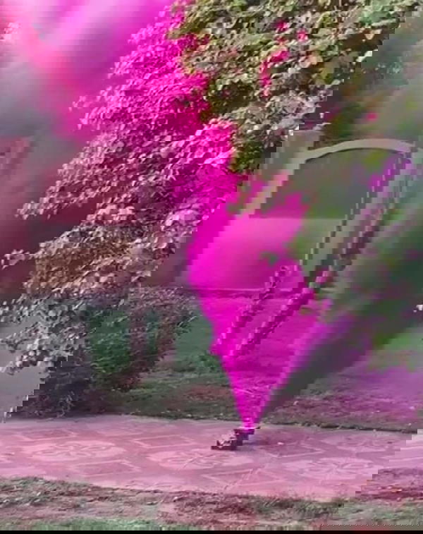شماريخ دخان اشكال واحجام مختلفة Image 2 Preview