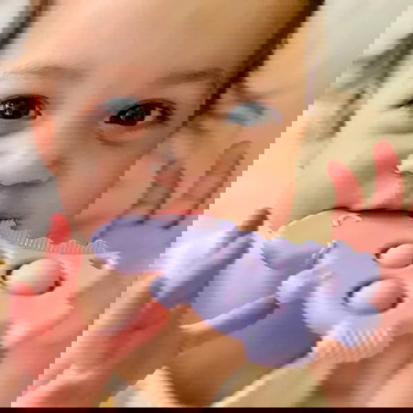عضاضة موديل جديد Image 3 Preview