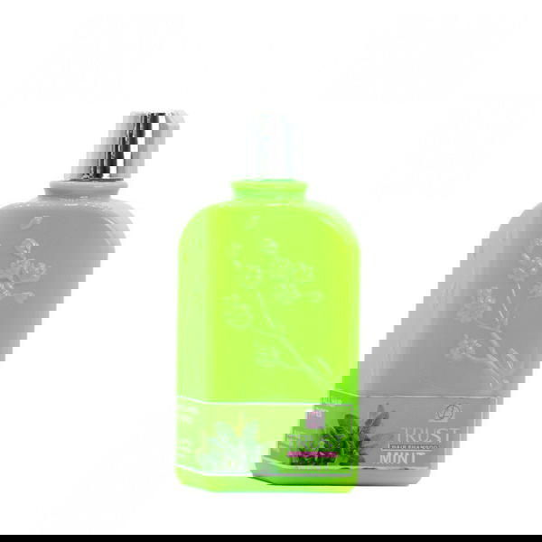 شامبو النعناع والصبار 250ml Image 1 Preview